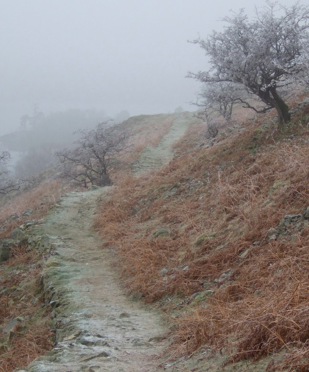 pathway near Ullswater, the Lake District, new year's eve