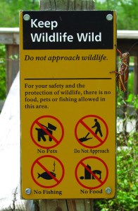 Sign: Big Cypress National Preserve