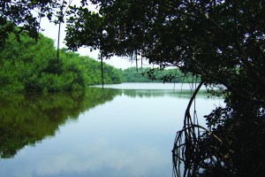 Everglades National Park